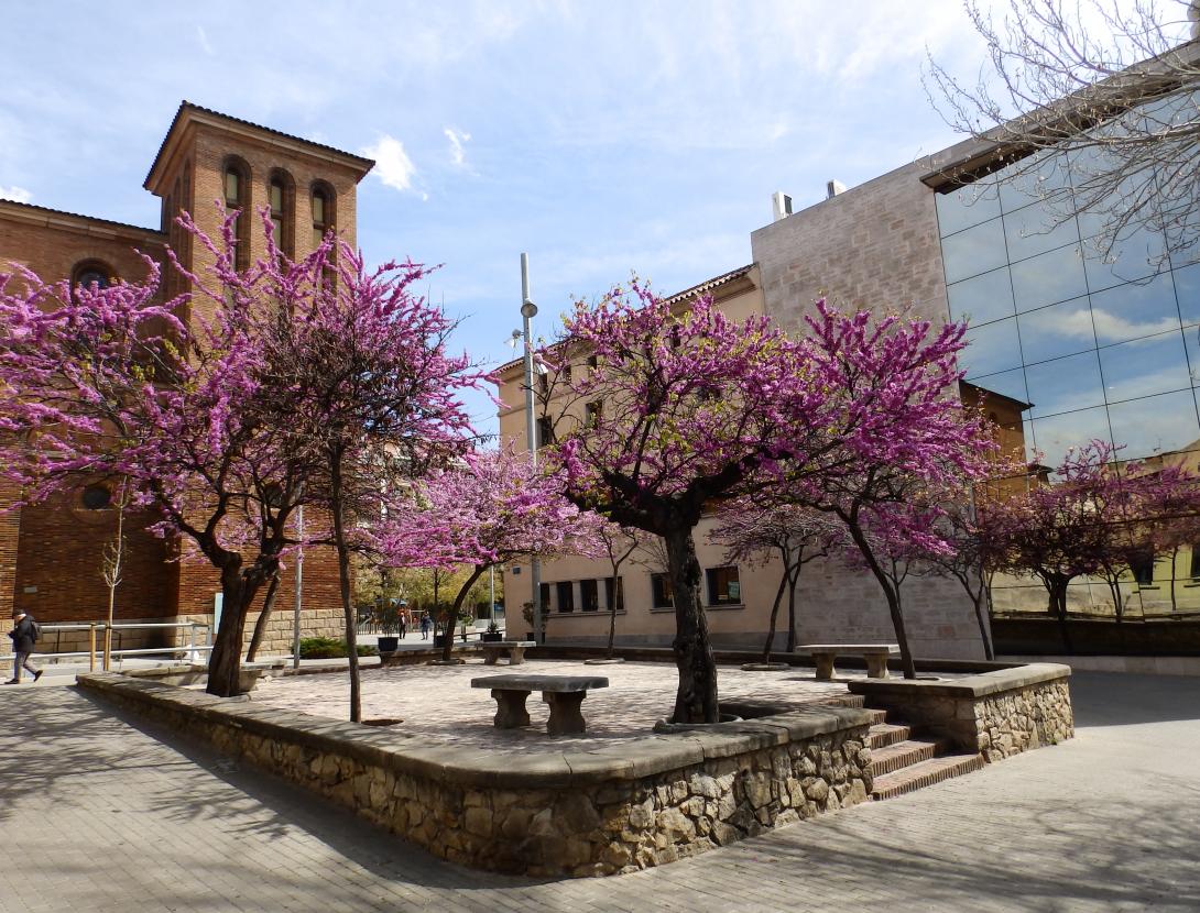 Cornellà de Llobregat