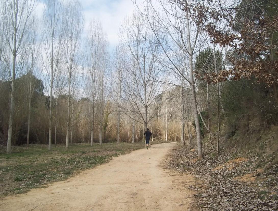 Parc Forestal de Can Cases