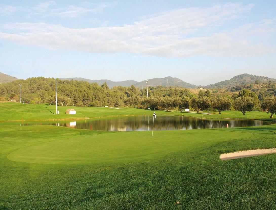 can cuyas forat 4 web.jpg