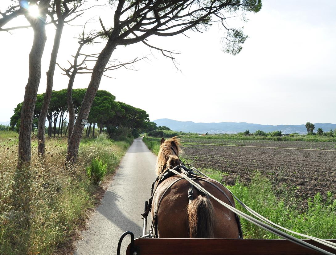 Fundació Privada SIGEA