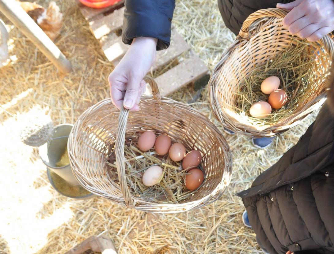 Fundació Privada SIGEA