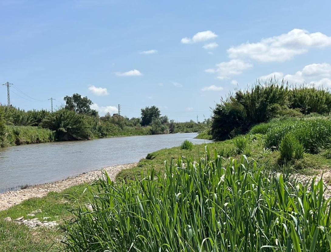 Eix del Riu