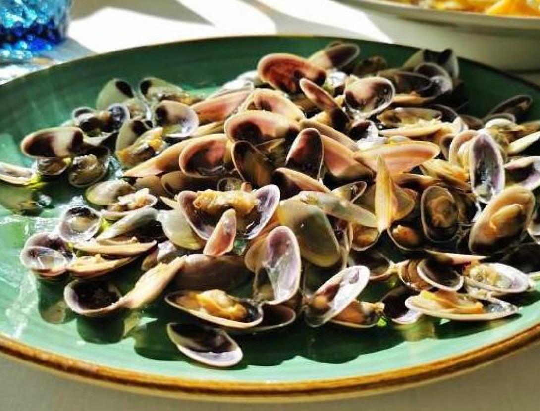 Tropical Hotel Restaurant Beach Club